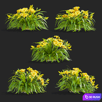 Daylily hybrid bushes | Hemerocallis hybrida Stella De Oro 3D Model Vray, Corona
