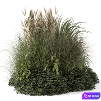Outdoor Plants Bush-Bush Set 1644 3D Model Vray, Corona