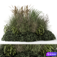 Outdoor Plants Bush-Bush Set 1644 3D Model Vray, Corona