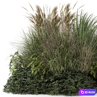 Outdoor Plants Bush-Bush Set 1644 3D Model Vray, Corona