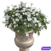 White Petunia flower in a classic flowerpot for decorating the facade.Petunia Plant Flowerpot 3D Model Vray, Corona