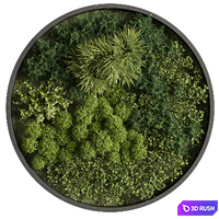 Circle Plant Frame - Fitowall 104 3D Model Vray, Corona