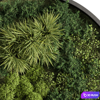 Circle Plant Frame - Fitowall 104 3D Model Vray, Corona