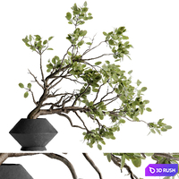 Twig bouquet inserted into clay pot 02 3D Model Vray, Corona