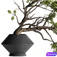 Twig bouquet inserted into clay pot 02 3D Model Vray, Corona