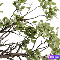 Twig bouquet inserted into clay pot 02 3D Model Vray, Corona
