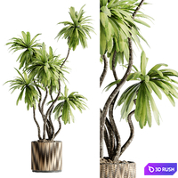 Indoor Bonsai Plants 39 3D Model Vray, Corona