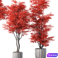 Indoor Plant Set.131 3D Model Vray, Corona