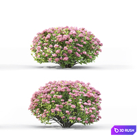 Spiraea 3D Model Vray, Corona