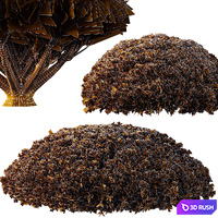 Pinus Mugo Bush07 3D Model Vray, Corona