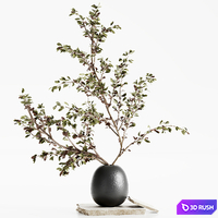 Bouquet 06 3D Model Vray, Corona
