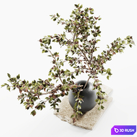 Bouquet 06 3D Model Vray, Corona