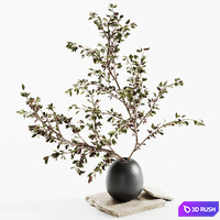 Bouquet 06 3D Model Vray, Corona