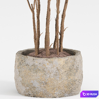 Indoor plant set 059 3D Model Vray, Corona