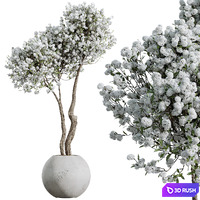 HQ HousePlants Tropez Planter Cherry Blossom Decorative Tree02 3D Model Vray, Corona