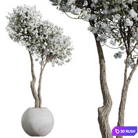 HQ HousePlants Tropez Planter Cherry Blossom Decorative Tree02 3D Model Vray, Corona