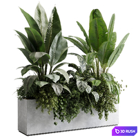 Office plant - concrete box plants on stand - set indoor plant 580 3D Model Vray, Corona