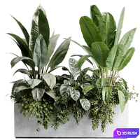 Office plant - concrete box plants on stand - set indoor plant 580 3D Model Vray, Corona