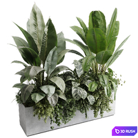 Office plant - concrete box plants on stand - set indoor plant 580 3D Model Vray, Corona
