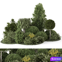 Outdoor Plants Bush Collection 2731 3D Model Corona