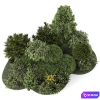 Outdoor Plants Bush Collection 2731 3D Model Corona