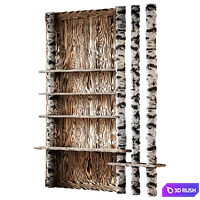 Shelves with partition made of birch 3D Model Corona
