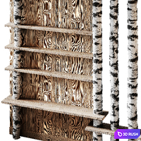 Shelves with partition made of birch 3D Model Corona