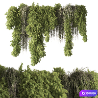 Indoor Plant 851 - Hanging Plants 3D Model Vray, Corona