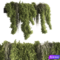Indoor Plant 851 - Hanging Plants 3D Model Vray, Corona