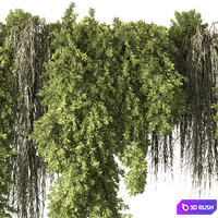 Indoor Plant 851 - Hanging Plants 3D Model Vray, Corona
