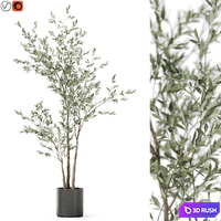 Plants collection 1186 3D Model Vray, Corona