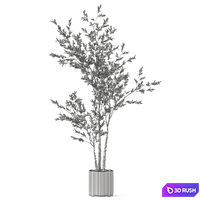 Plants collection 1186 3D Model Vray, Corona