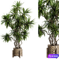 Palm plant in a wooden pot - set indoor plant 637 3D Model Vray, Corona