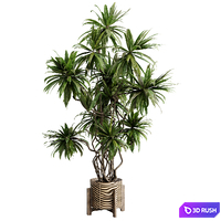 Palm plant in a wooden pot - set indoor plant 637 3D Model Vray, Corona