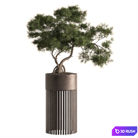 Indoor Plant 880 - Bonsai Set 3D Model Vray, Corona