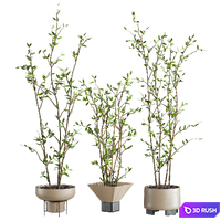 Plants Set 141 3D Model Vray, Corona