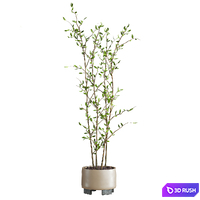 Plants Set 141 3D Model Vray, Corona