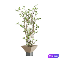 Plants Set 141 3D Model Vray, Corona