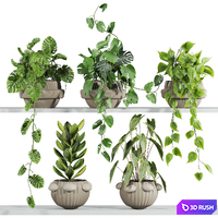 Plants Set 211 3D Model Vray, Corona