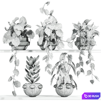 Plants Set 211 3D Model Vray, Corona