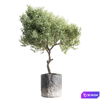 Set of indoor living plants in pots 34 3D Model Corona