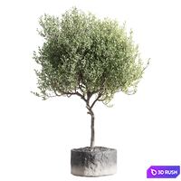 Set of indoor living plants in pots 34 3D Model Corona