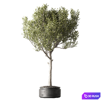 Set of indoor plants in pots 29 3D Model Corona