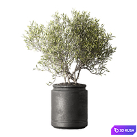 Set of indoor plants in pots 29 3D Model Corona