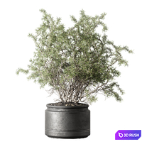 Set of indoor plants in pots 29 3D Model Corona