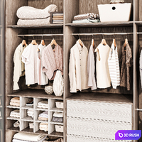 Wardrobe wardrobe clothes with doors 15112023 3D Model Corona