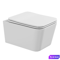 Wall hung toilet Aquanet Tavr -W BW 3D Model Corona