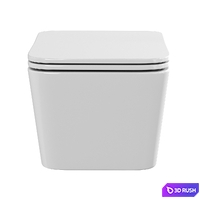 Wall hung toilet Aquanet Tavr -W BW 3D Model Corona