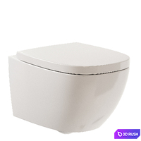 Ceramica Catalano Alvea Wall-Hung WC 3D Model Vray, Corona