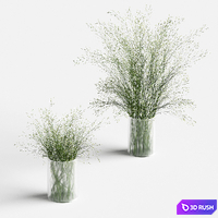 Grass in vases 2 3D Model Corona